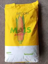 Nasiona kukurydzy materiał siewny kukurydza 12 worków