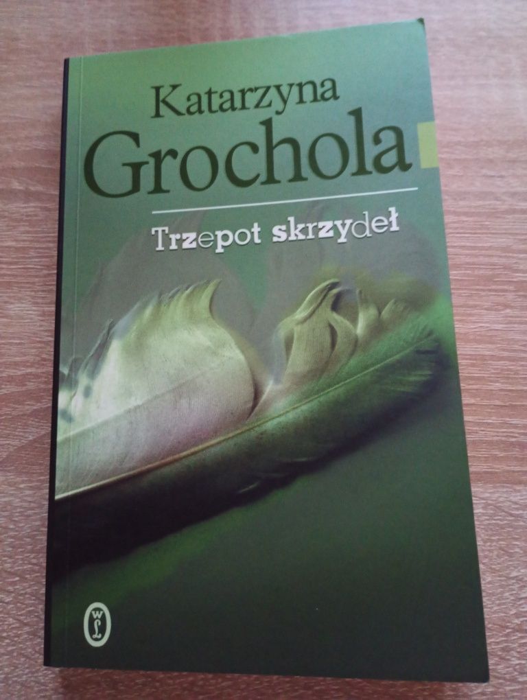 Zielone drzwi. Trzepot skrzydeł. Osobowość ćmy. Katarzyna Grochola.