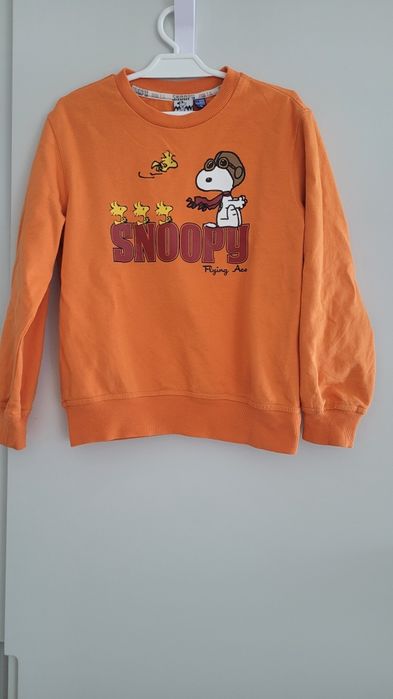 Cienka bluza dresowa rozm 116