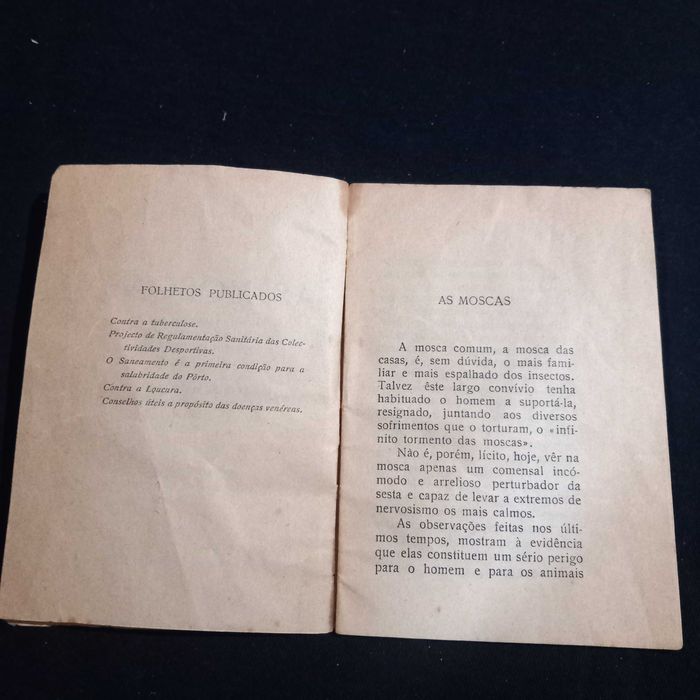 Pequeno e antigo livro " As Moscas "