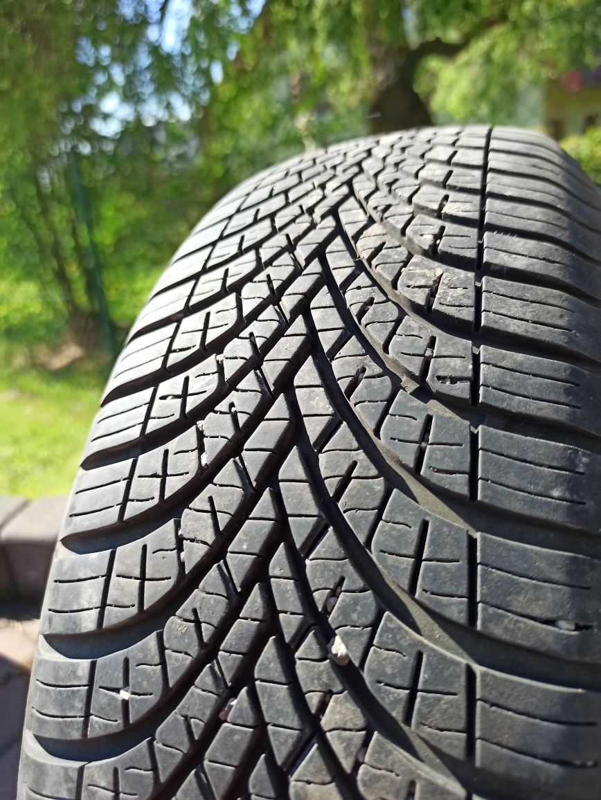 Dębica Navigator 3 175/65 R14 2023r. (Wielosezonowe)