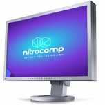 Monitor LCD Eizo FlexScan S2433W 24 " 1920 x 1200 px VA