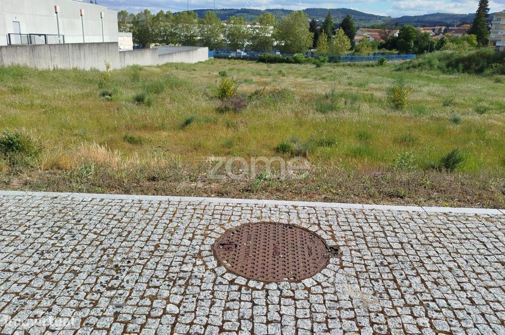 Terreno, Moimenta da Beira