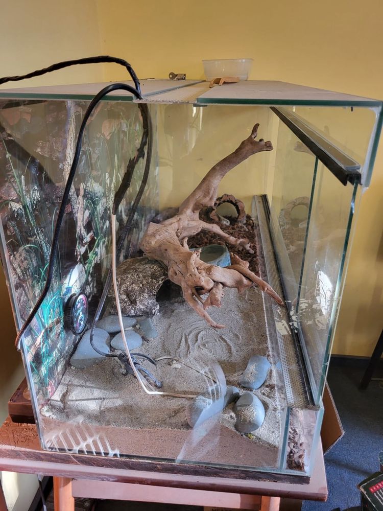 Terrarium z wyposażeniem