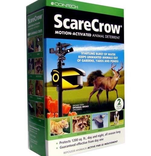 Replente de Animais com água