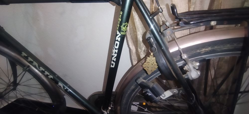 Bicicleta Pasteleira holandesa