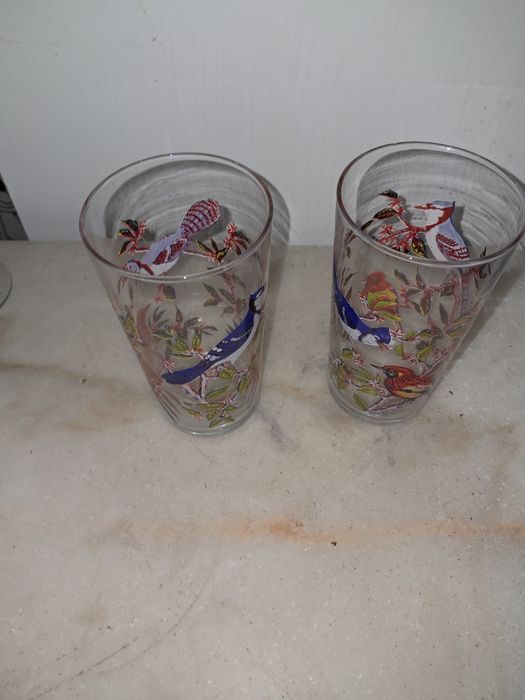 Dois copos passarinhos