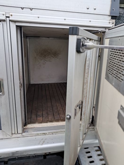 Przyczepka transportu 3 psów