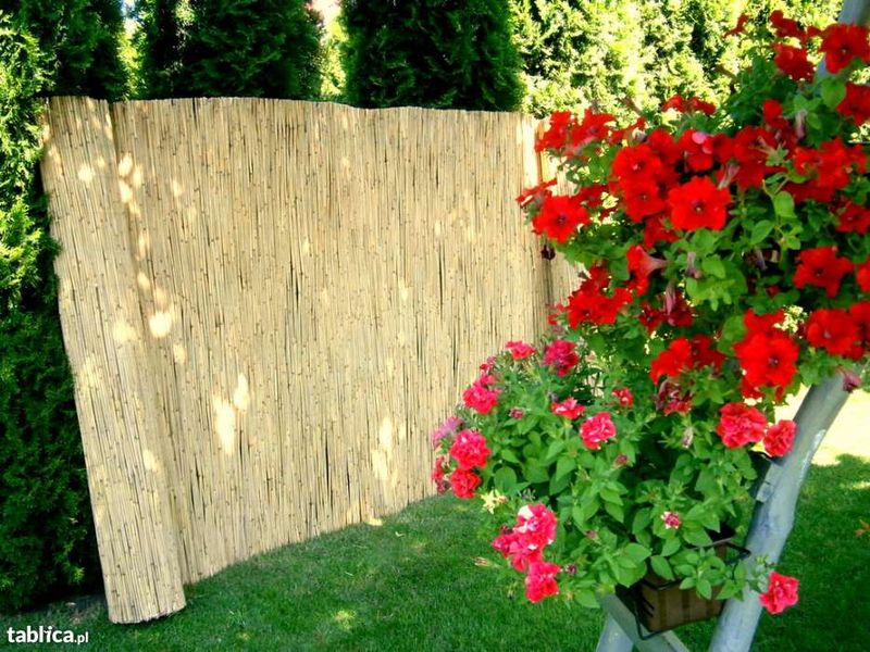 mata trzcinowa, maty trzcinowe, trzcina 1,20 6m PRODUCENT bardzo gęste