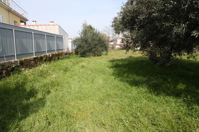 Terreno para Construção no Centro de Tondela