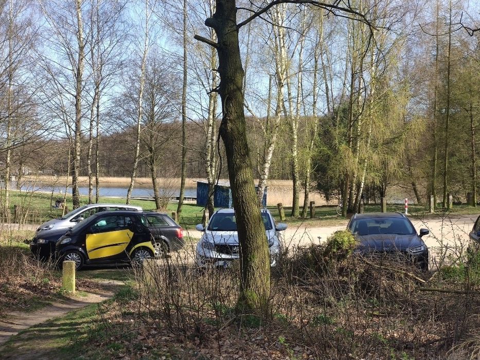 Działka ROD Las Jezioro Plaża