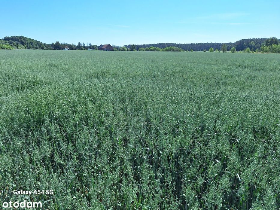 Ziemia Rolna Grunt Orny 43,40 Ha Gmina Namysłów Promocja!