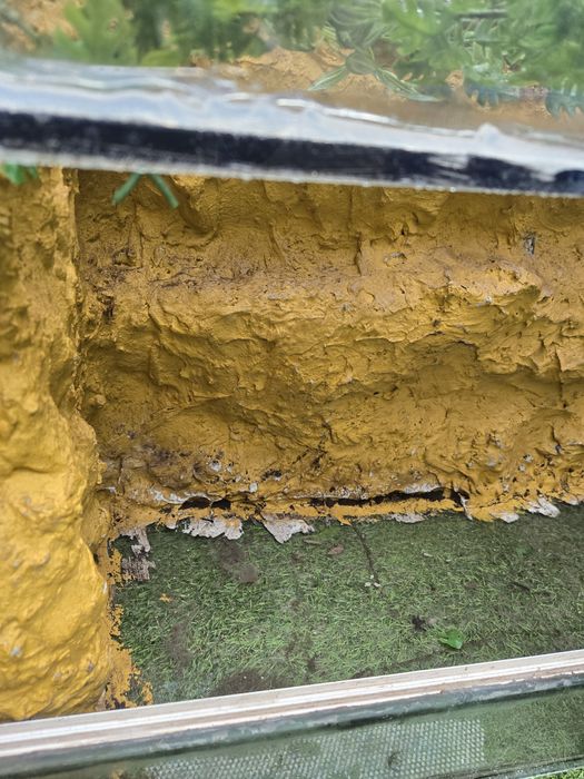 Terrarium dla zolwia jaszczurki