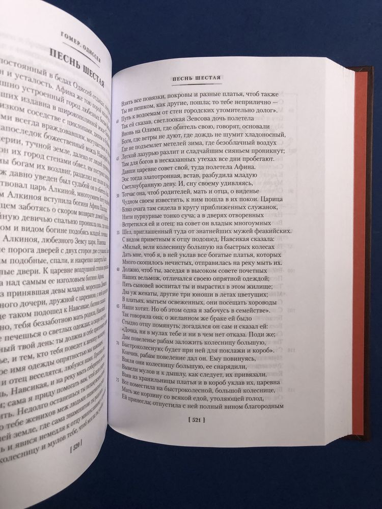 Гомер Илиада Одиссея большие книги