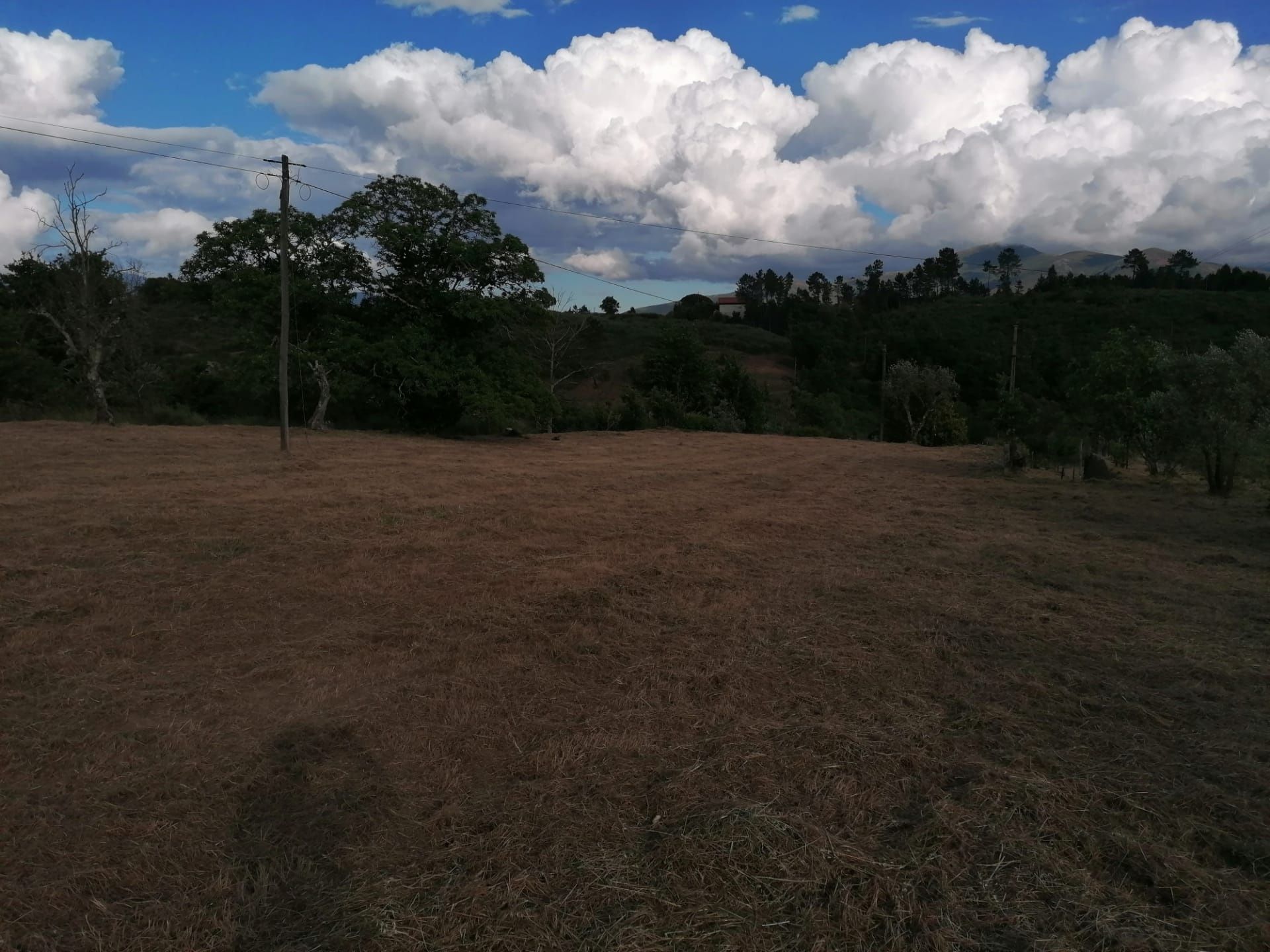 Quinta em Galizes