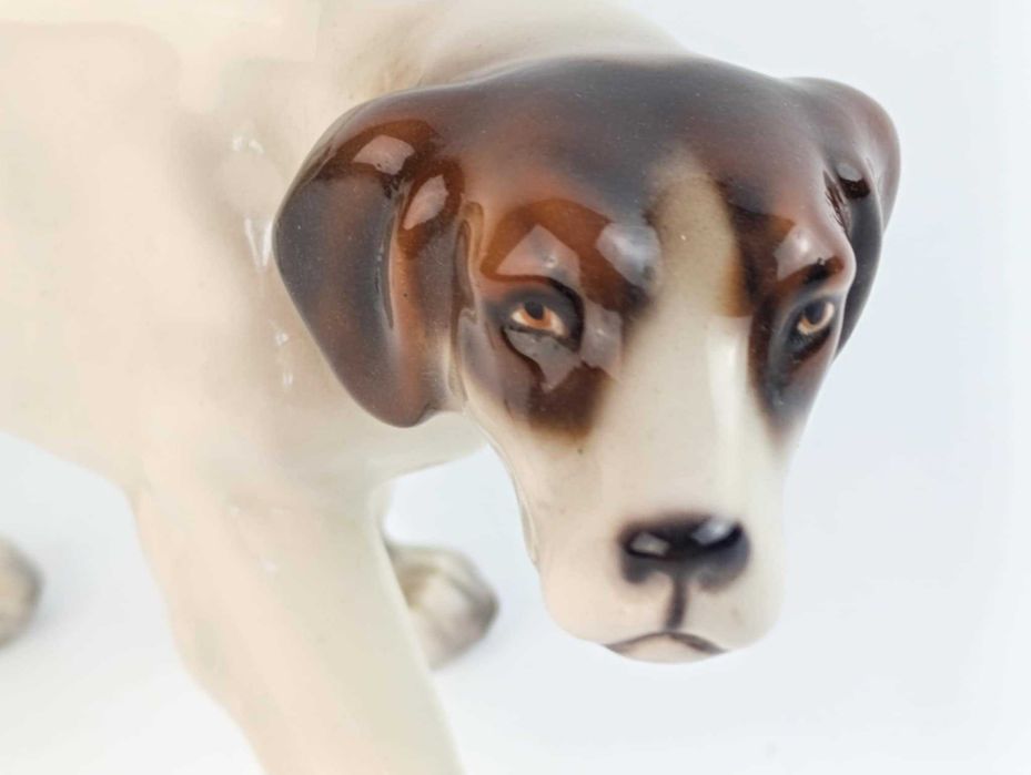 Steffl - pies myśliwski, Wiedeń