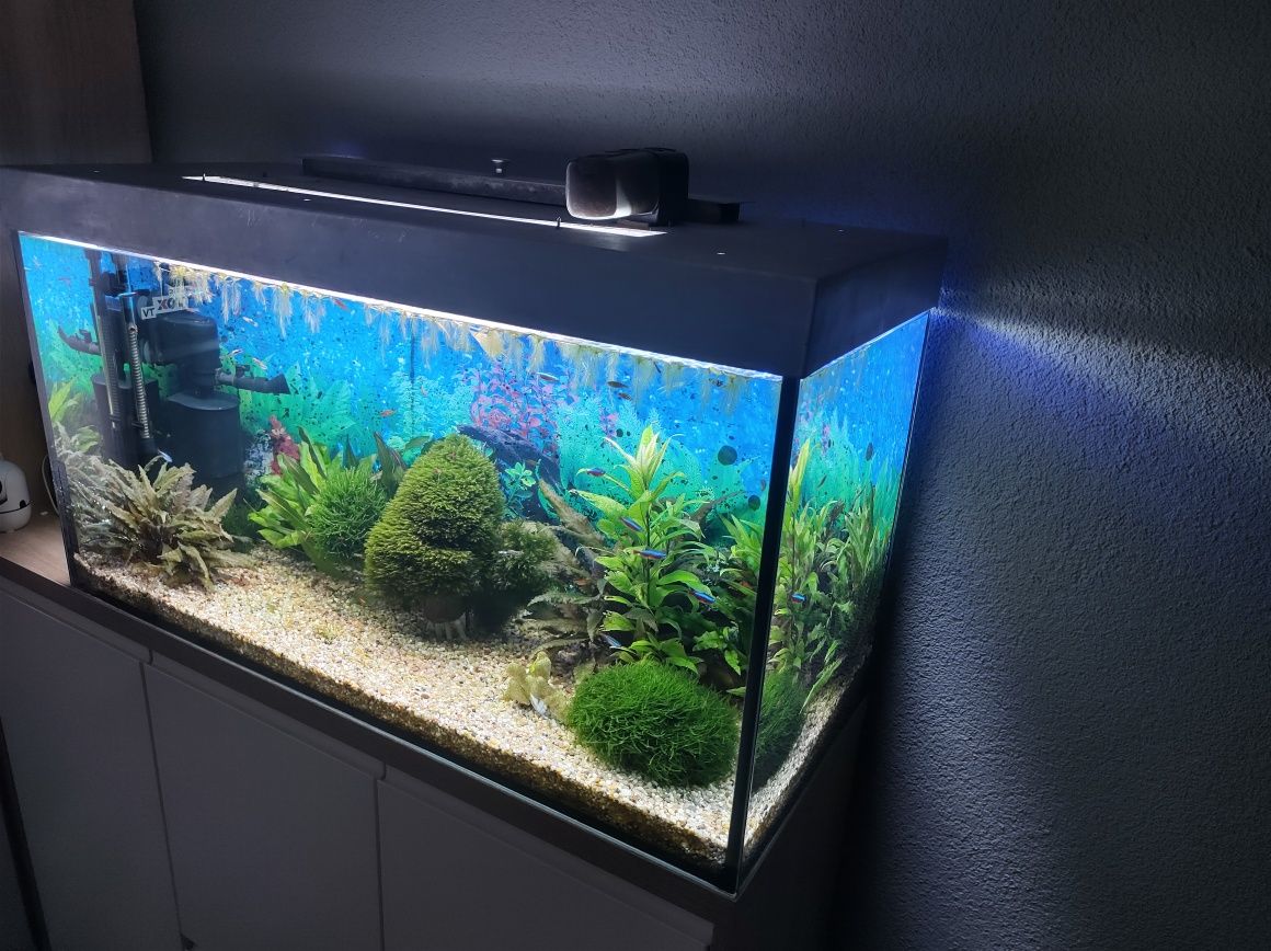 Witam sprzedam akwarium 200l
