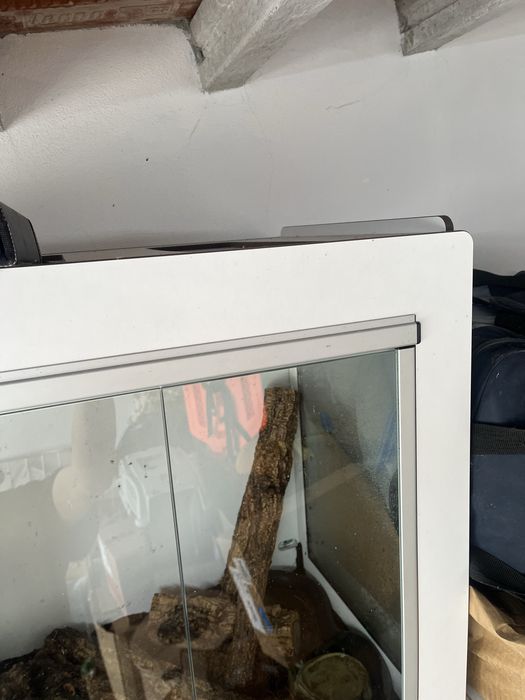 Terrario para animais exoticos