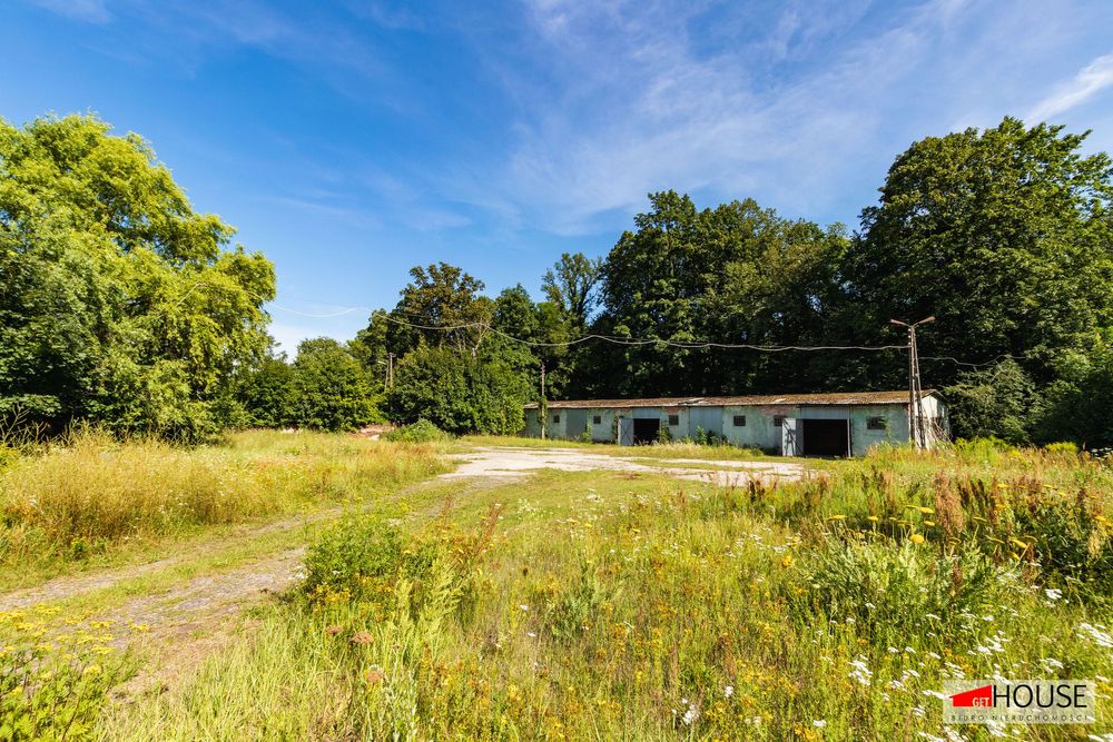 Baza dla Twojej firmy - Tomaszów Bolesławiecki.