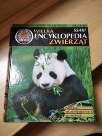 Wielka encyklopedia zwierząt Ssaki psowate niedźwiedźowate szopowate
