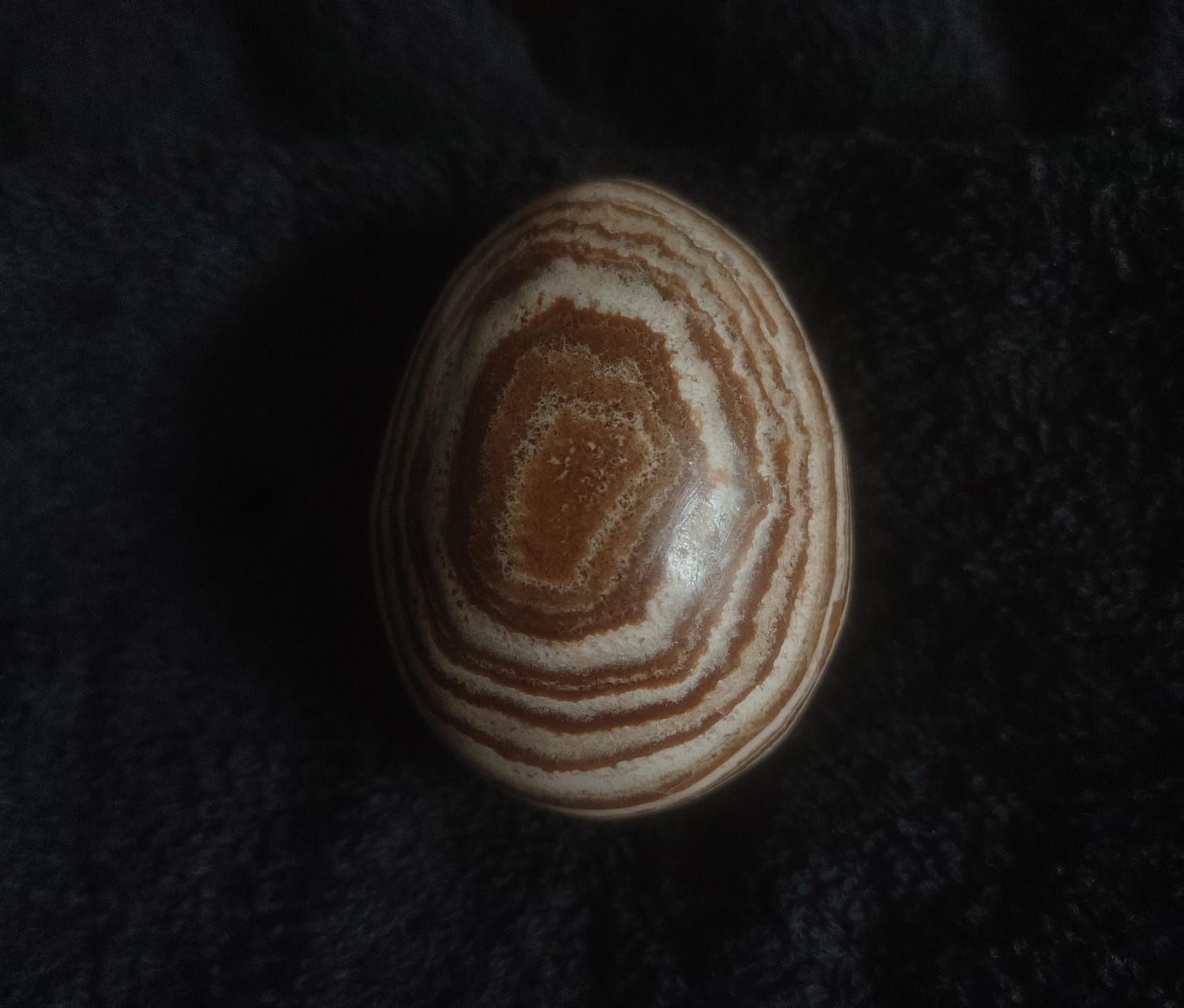 Ovo (de costura)