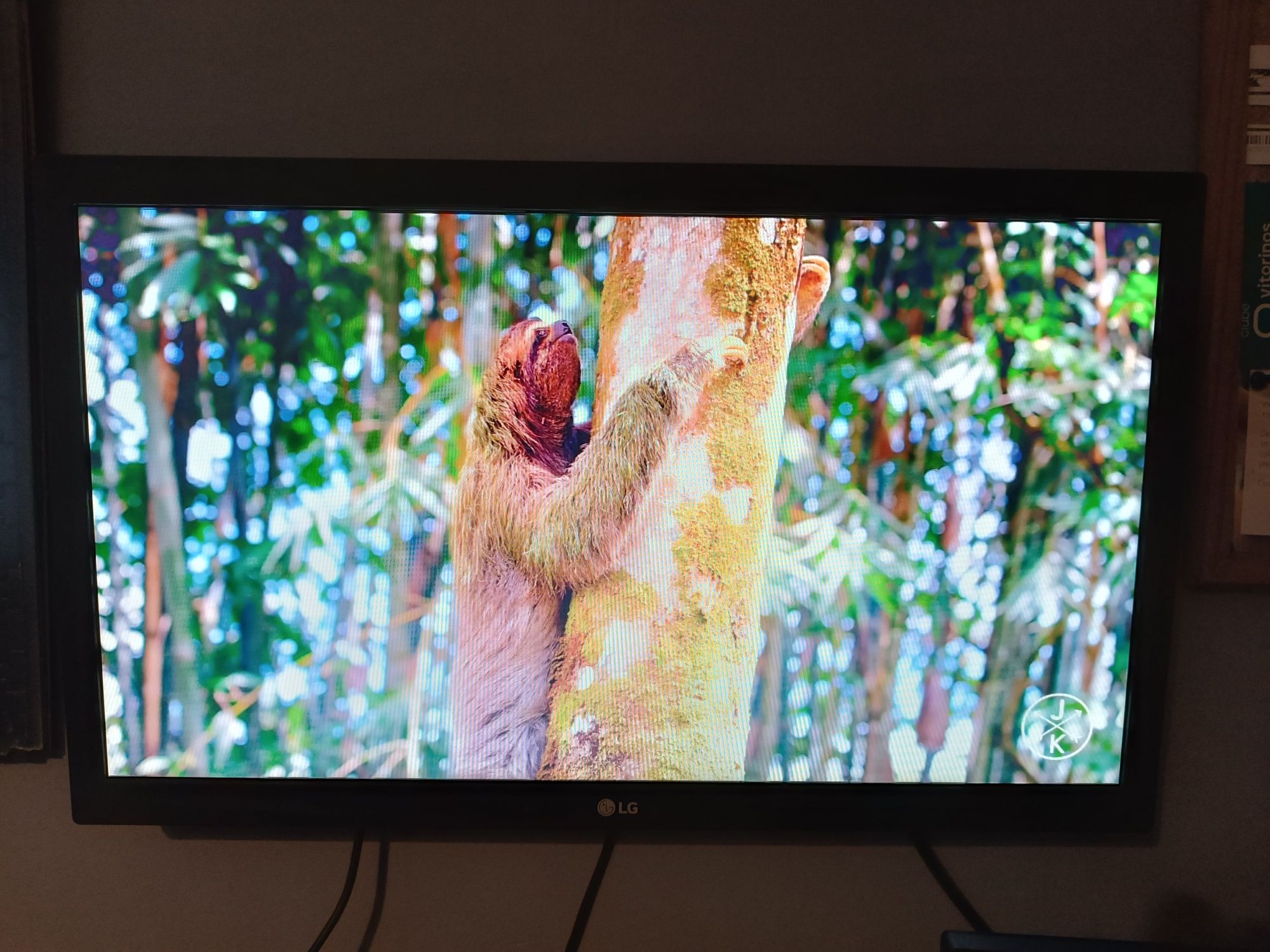 Monitor 19" LG HDMI/VGA com pé
