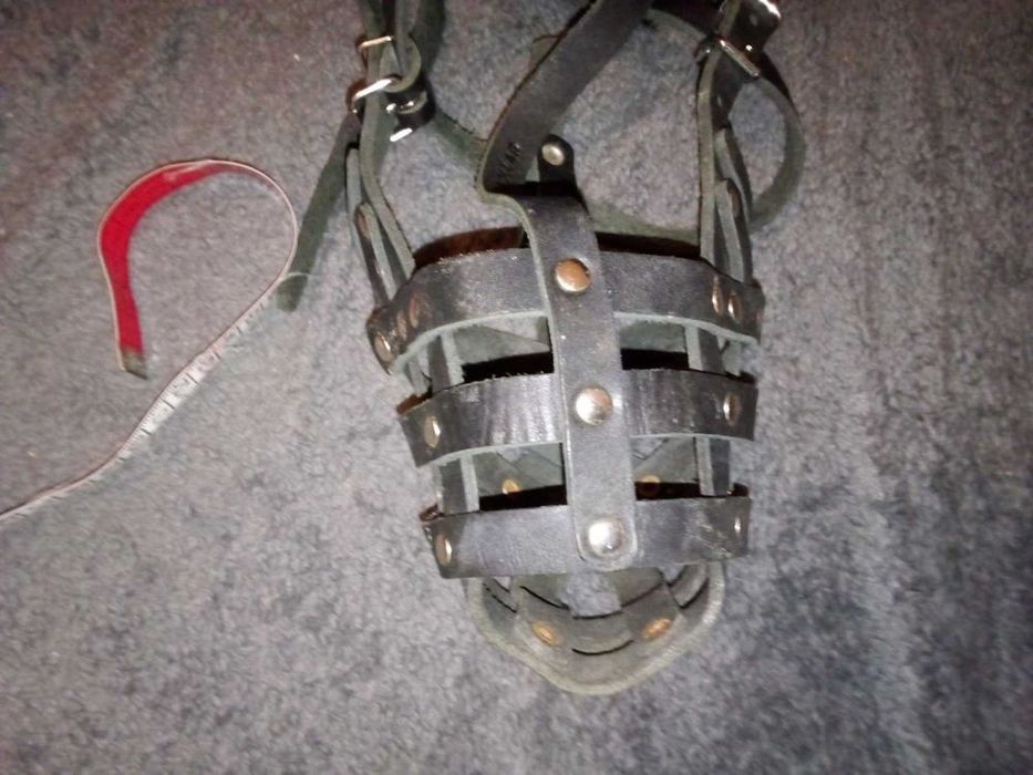 Намордник шкіряний