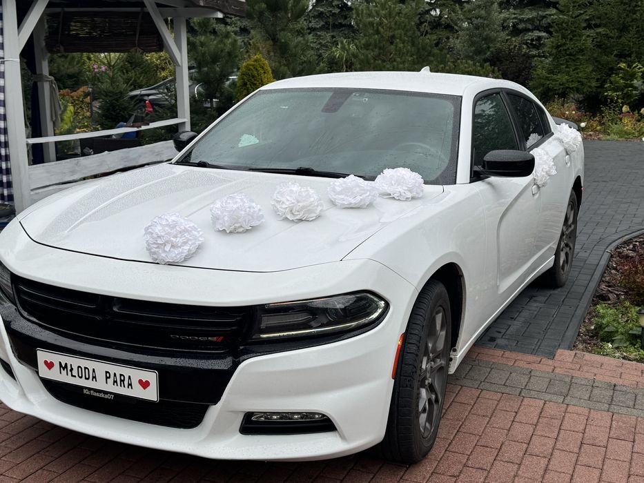 Auto do ślubu biały Dodge Charger 18'