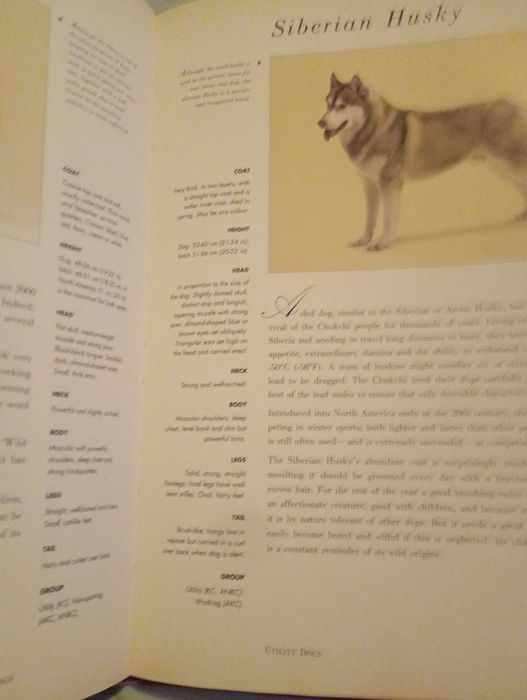 Livro Guia dos caes