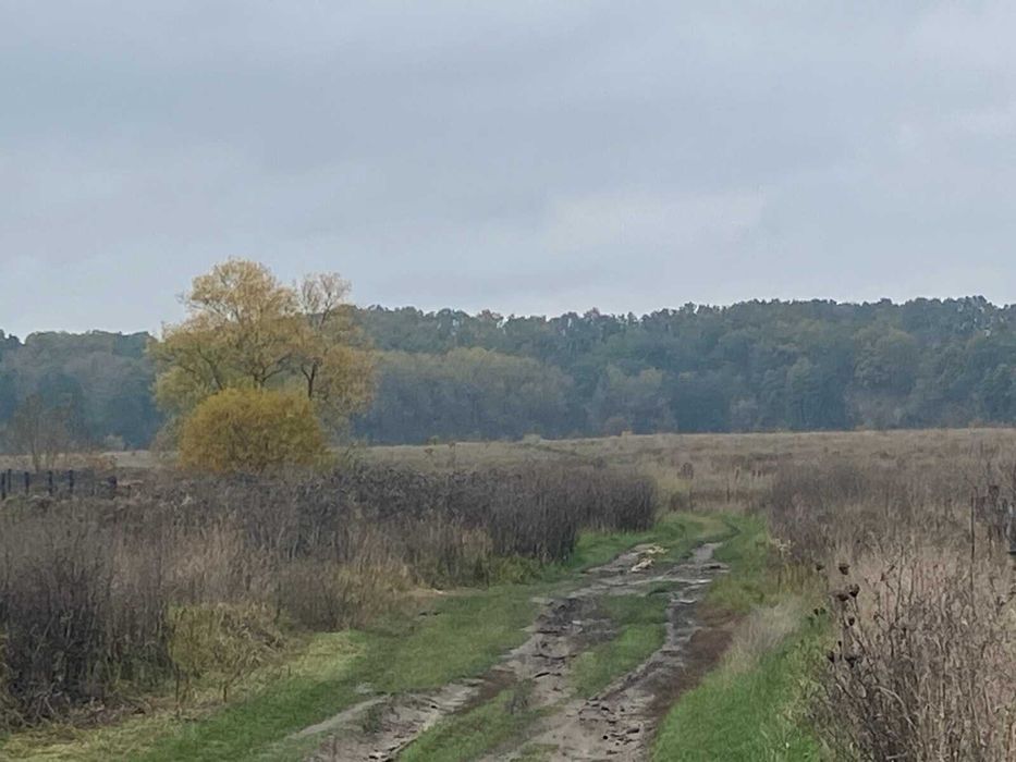 Продаж земельної ділянки в селі Селище