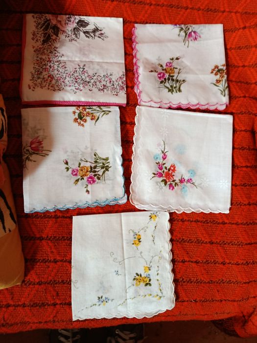 Chusteczki no nosa.5szt.