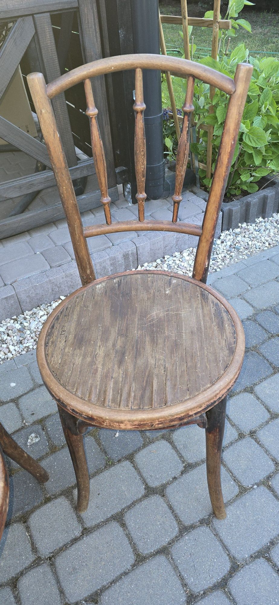 Thonet Krzesła kpl. 4 szt.