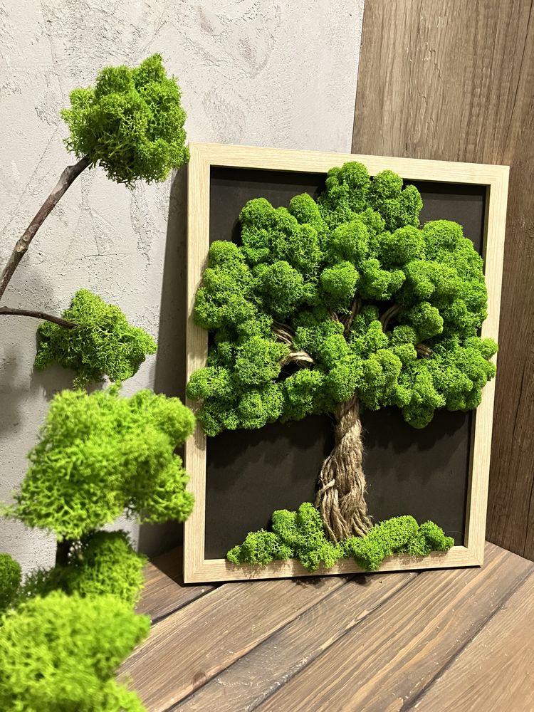 Mięciutki mech chrobotek na obrazie 32 x 42cm