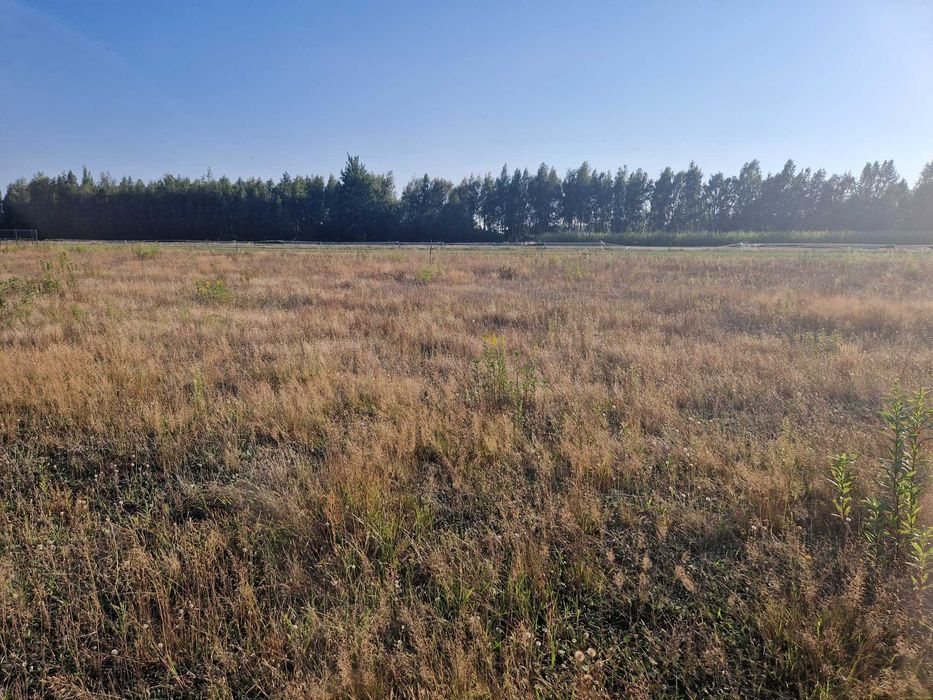 Działka budowlana 1000 m2 z WZ