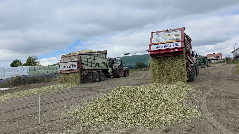 MPway - zbiór/koszenie kukurydzy (Claas + Fendt + Strautmann)