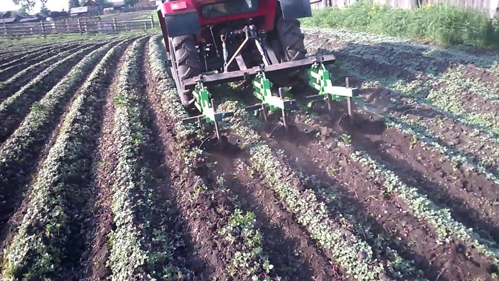 Окучник, культиватор междурядный, культиватор міжрядний Wirax Польща