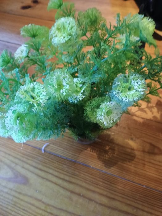 Akcesoria do akwarium