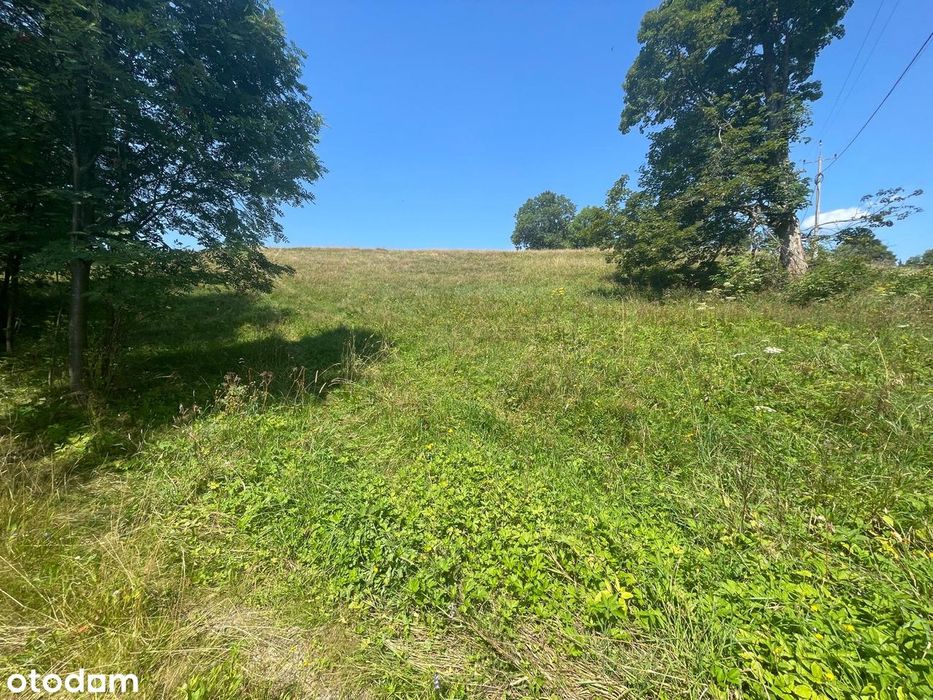 Malowniczo położona działka budowlana w Jodłowie