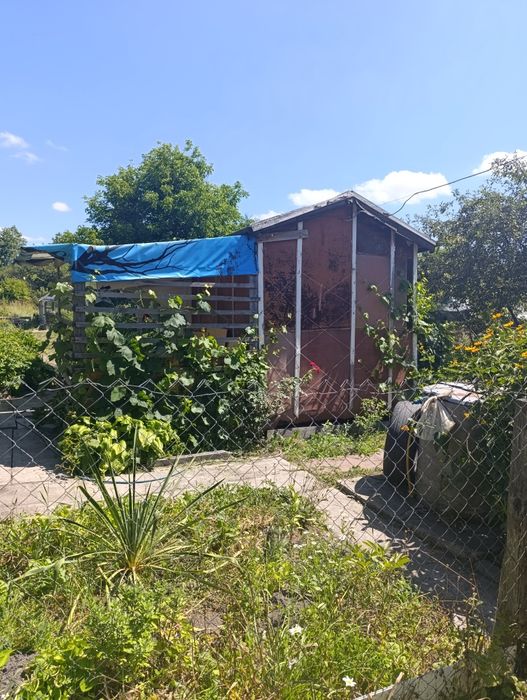 Дача біля Чепеліївки