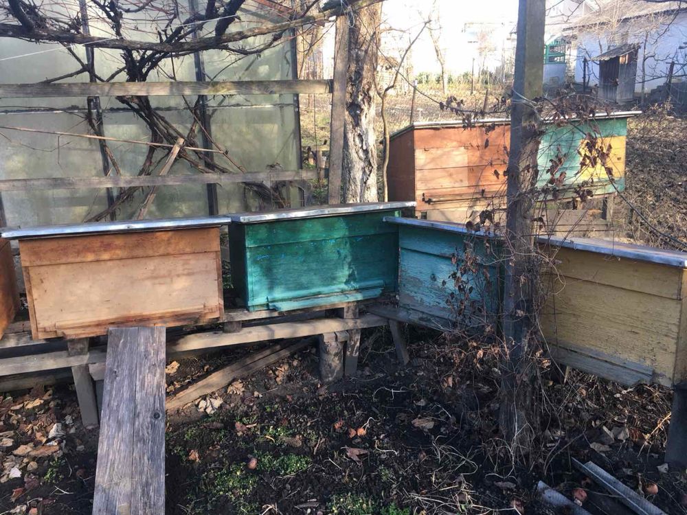 Продам пасічні вулики