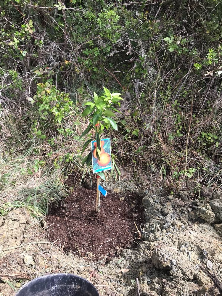 Terreno rustico em Mafra