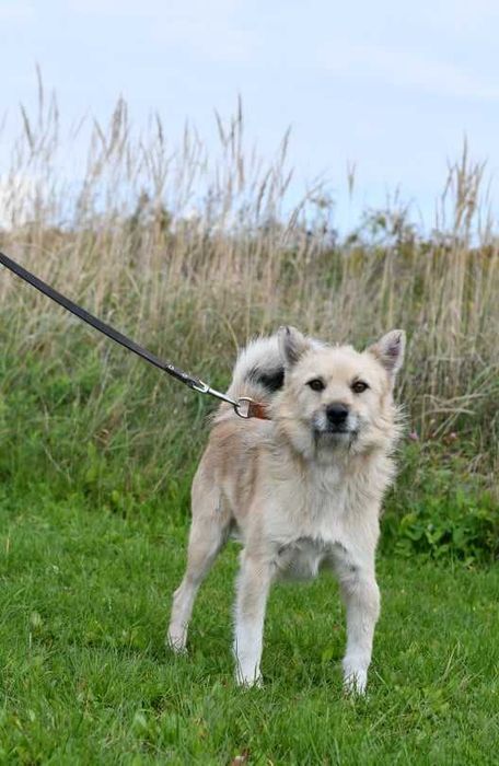 Kto mnie pokocha i zabierze do domku?