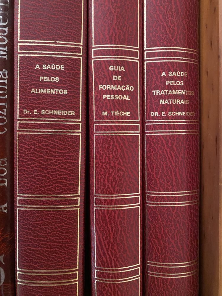 Colecao livros capa dura