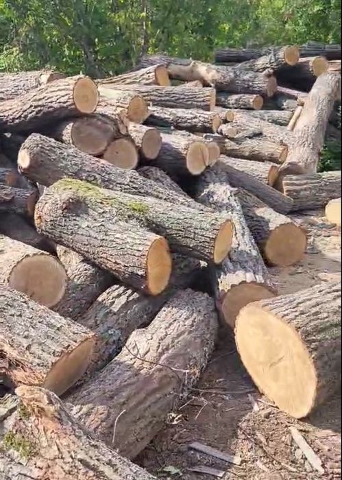 Дрова ТВЕРДИХ порід. Мінімальна ціна. С доставкою. 3/6/8/10.5 ск/м