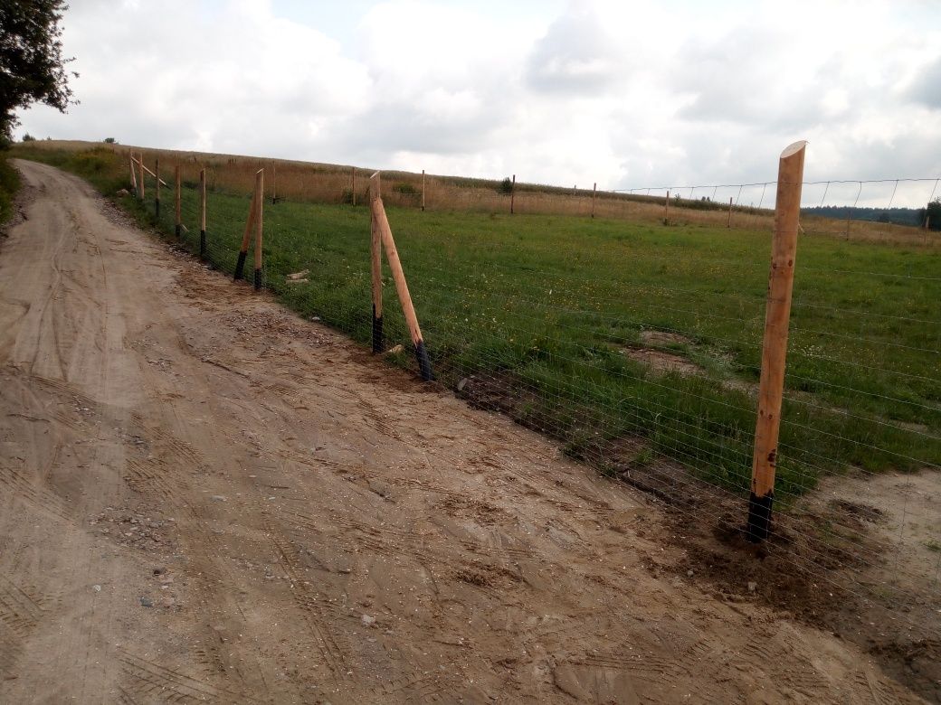 Ogrodzenie Tymczasowe Elbląg siatka leśna już 17 zl. za mb