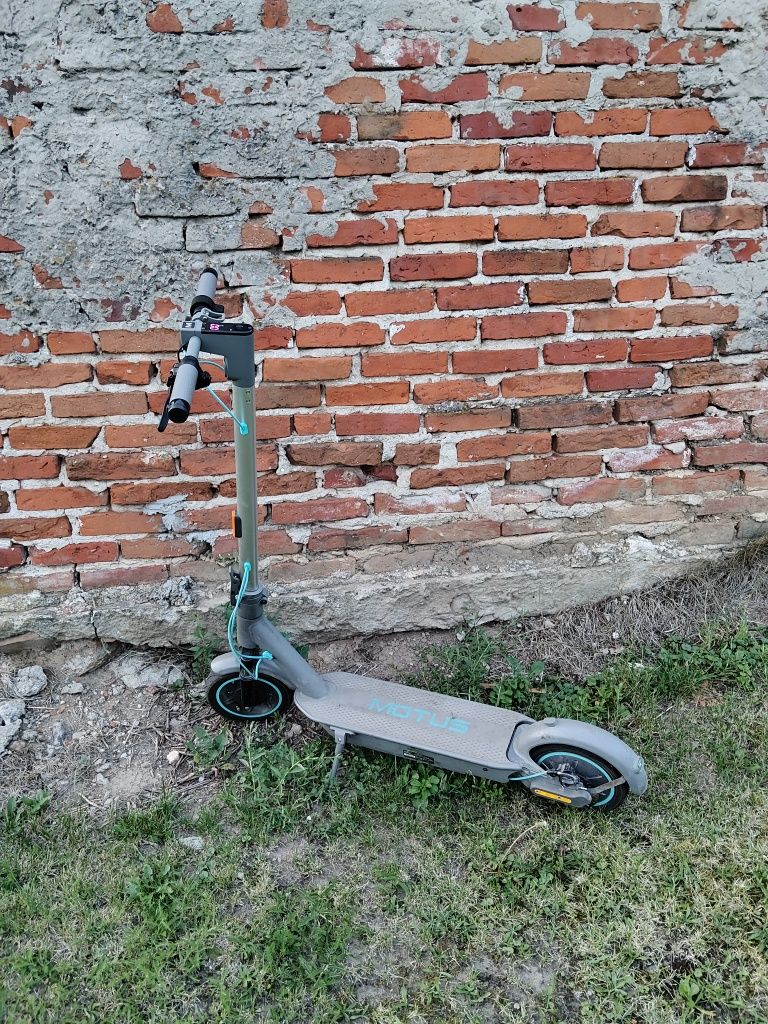 Hulajnoga motus scooty 10