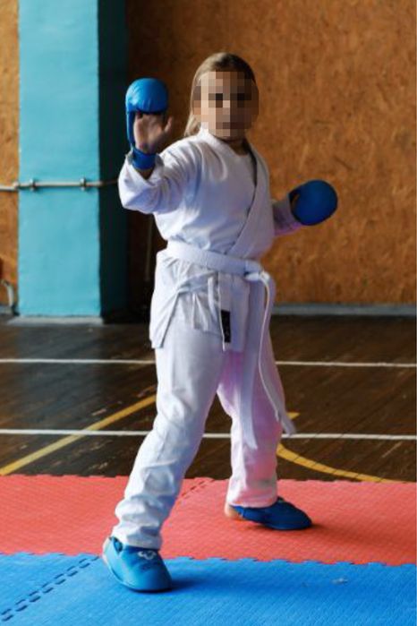 Budo Nord захист рукавички фути