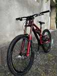 Dartmoor roots red devil dh