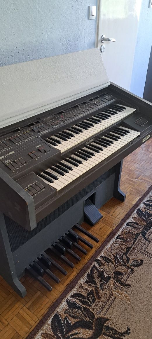 Bontempi master organy