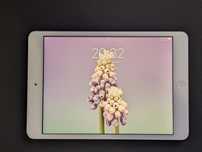 Ipad Mini 2 (16gb)
